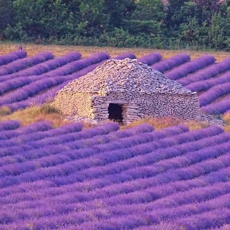 Entre Ventoux Et Luberon Chambre D'Hote Sault-de-Vaucluse Εξωτερικό φωτογραφία
