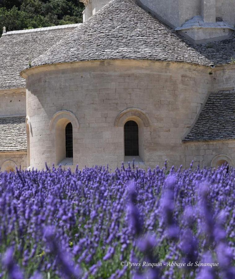 Entre Ventoux Et Luberon Chambre D'Hote Sault-de-Vaucluse Εξωτερικό φωτογραφία