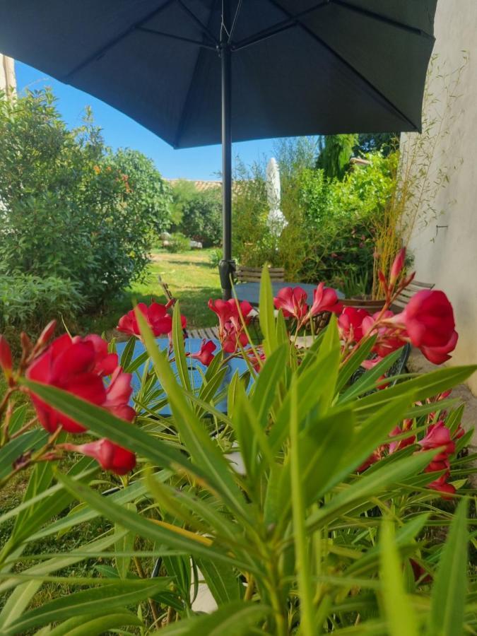 Entre Ventoux Et Luberon Chambre D'Hote Sault-de-Vaucluse Εξωτερικό φωτογραφία