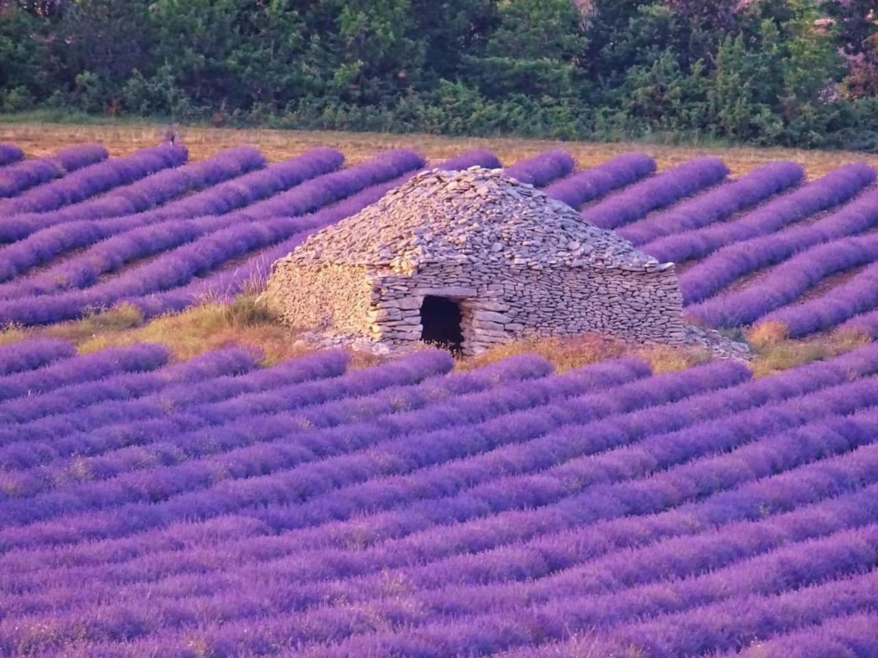Entre Ventoux Et Luberon Chambre D'Hote Sault-de-Vaucluse Εξωτερικό φωτογραφία